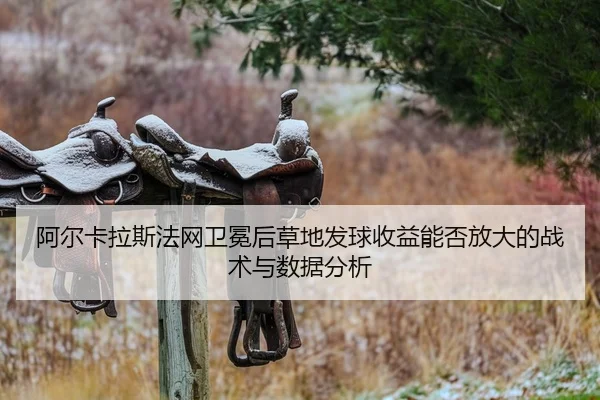 阿尔卡拉斯法网卫冕后草地发球收益能否放大的战术与数据分析