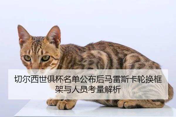 切尔西世俱杯名单公布后马雷斯卡轮换框架与人员考量解析